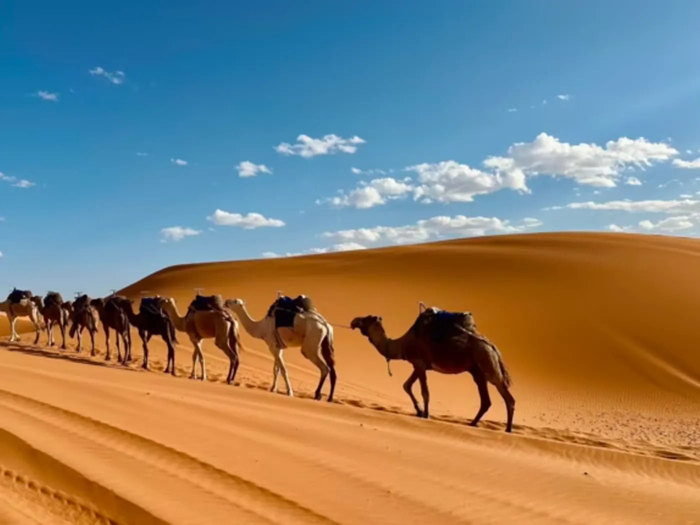 the Erg Chebbi dunes at Merzouga — Desert Tour From Marrakech 12-day