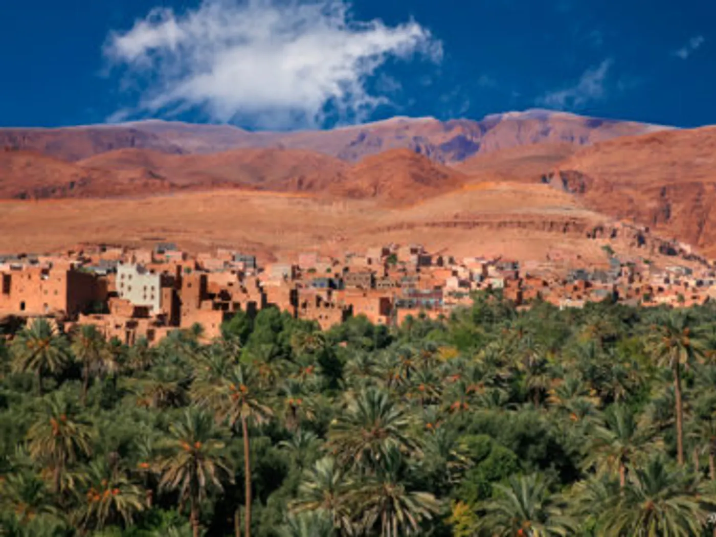 Berber nomad family — 5-Day Marrakech Desert Tour to Merzouga & Erg Chebbi Dunes