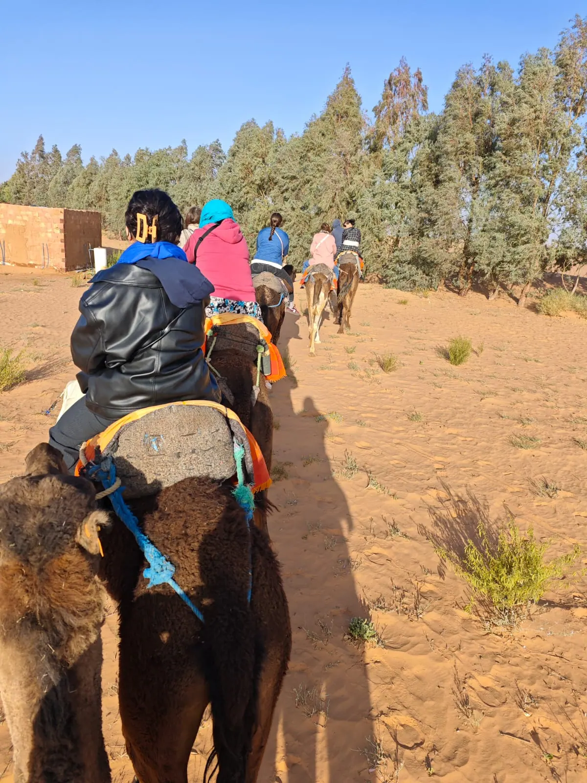 2-Day Trip from Fes to Chefchaouen, the Blue City photo