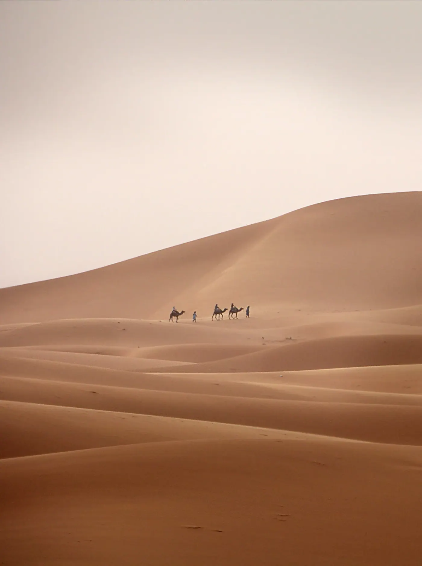 High Atlas & Berber Villages Day Trip photo