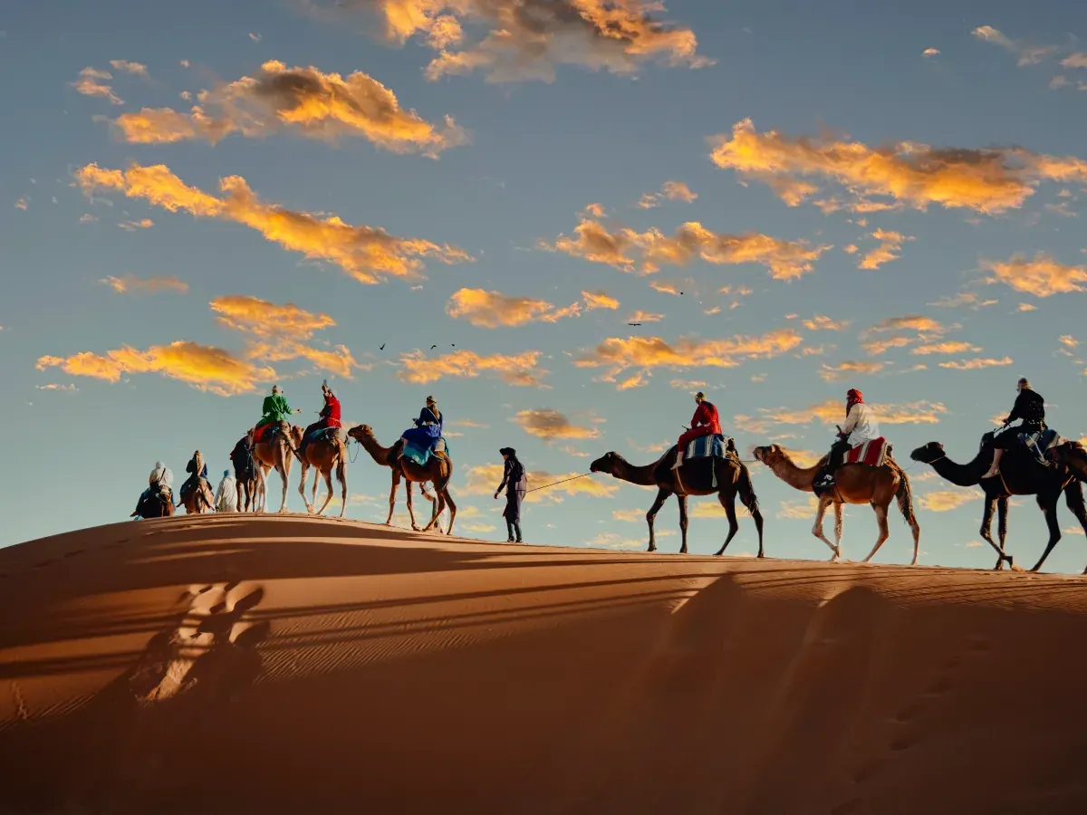 Carovana di cammelli sulle dune di Erg Chebbi al tramonto