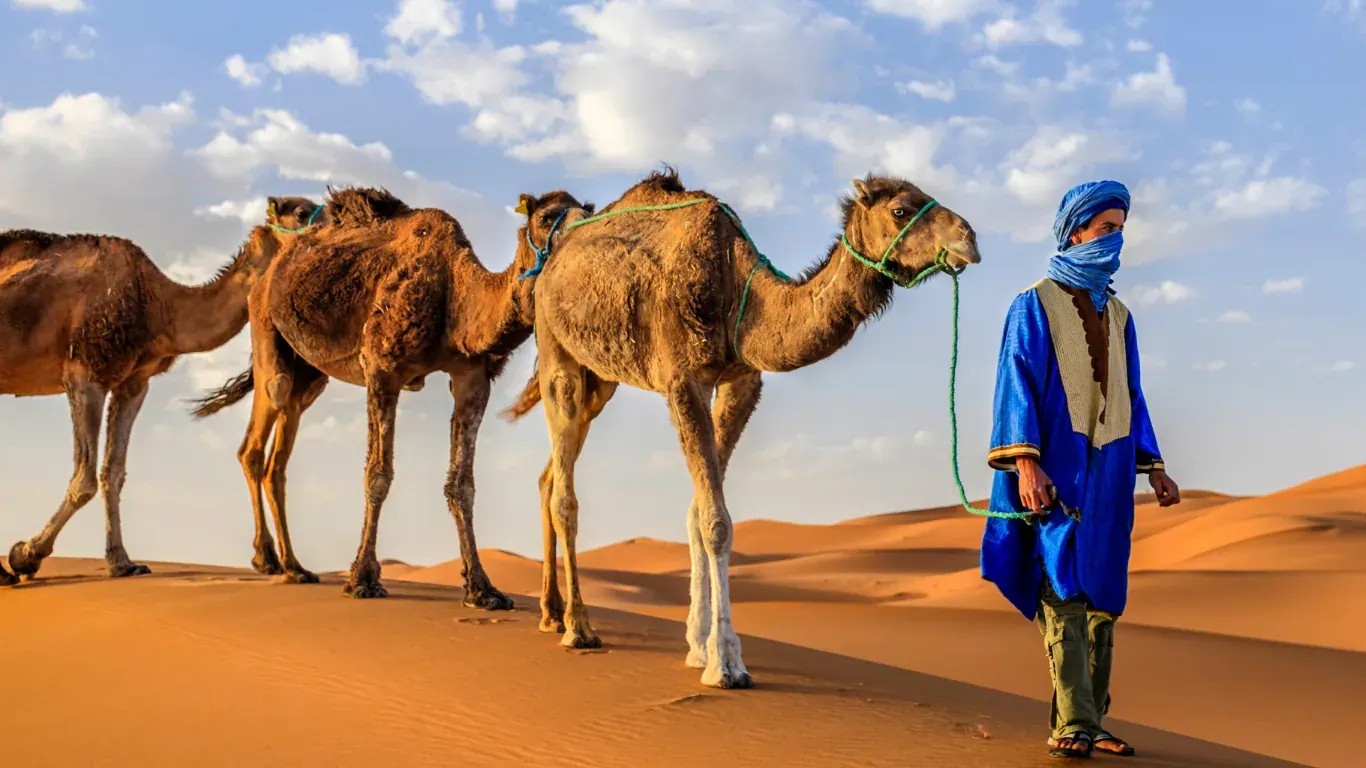 Tour di 12 giorni nel deserto da Marrakech