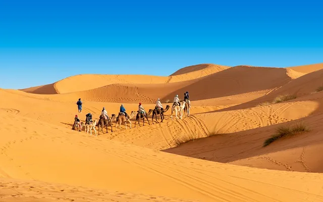 Tour di 5 giorni nel deserto da Marrakech a Fes