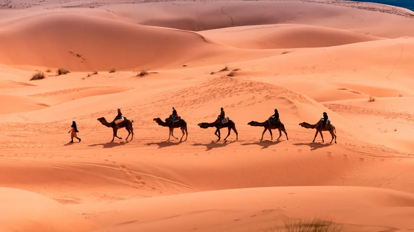 Tour di 7 giorni da Marrakech al deserto